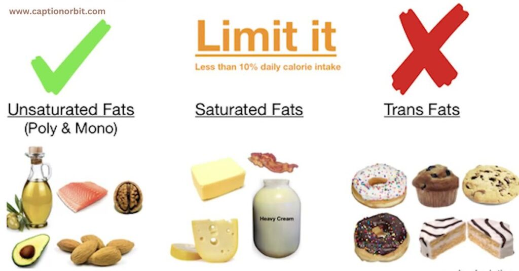 Defining “Fat” Medical vs. Colloquial Usage