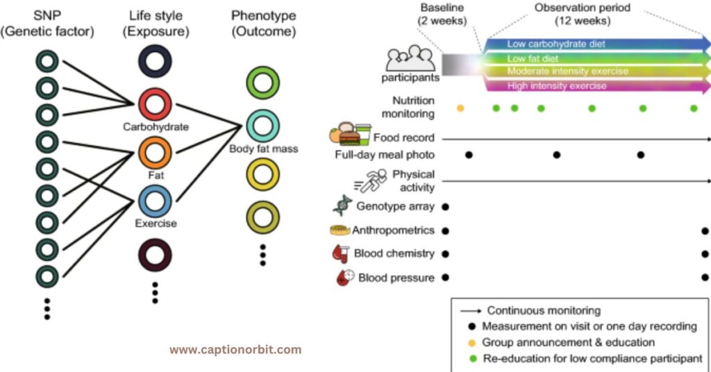 Genetics and Body Composition