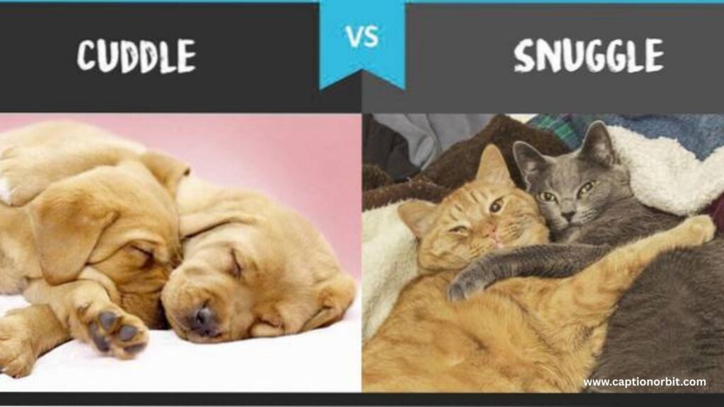 Spooning & Snuggling Pick Up Lines