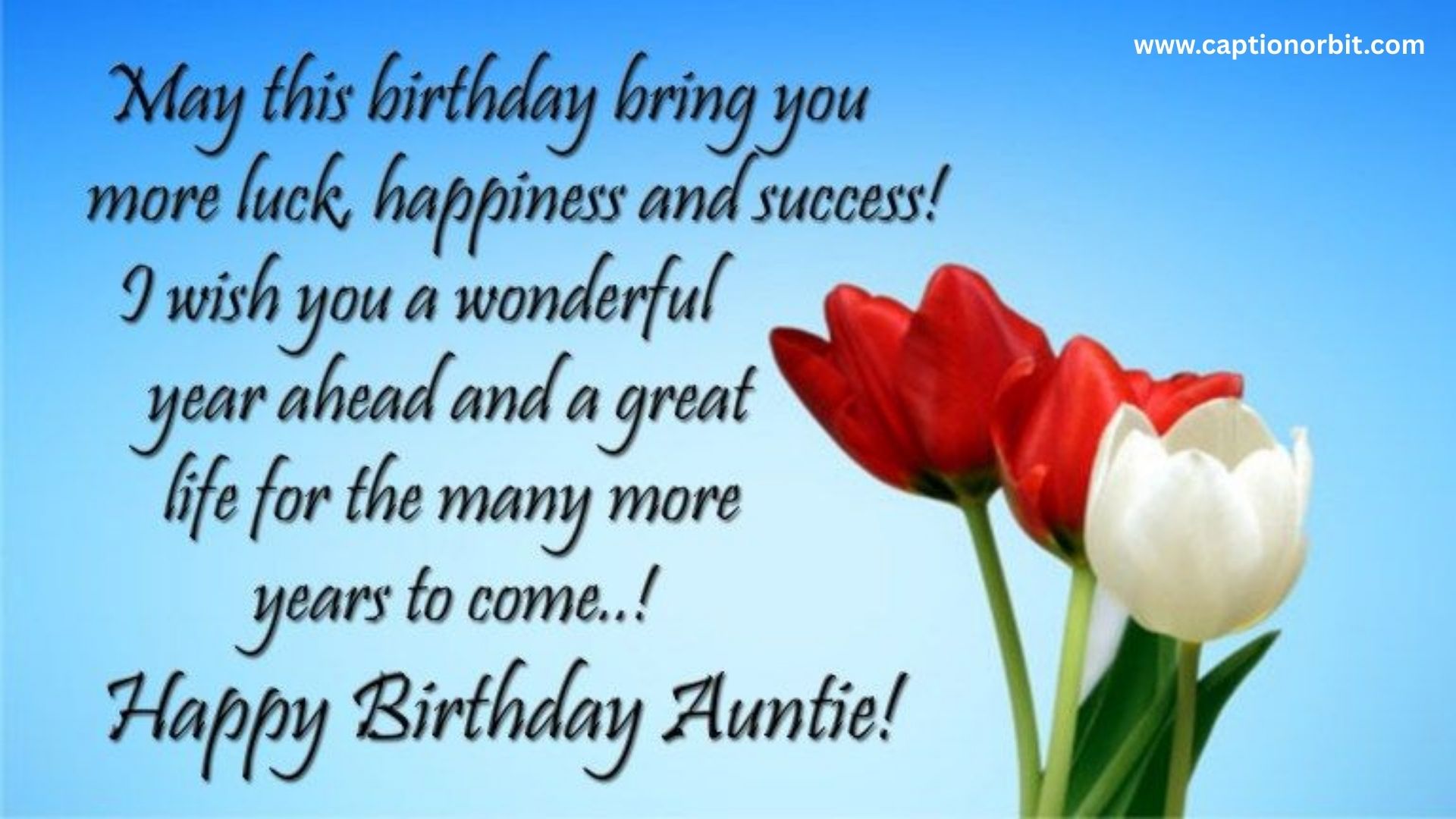 Short Messages for an Aunt Who Passed Away