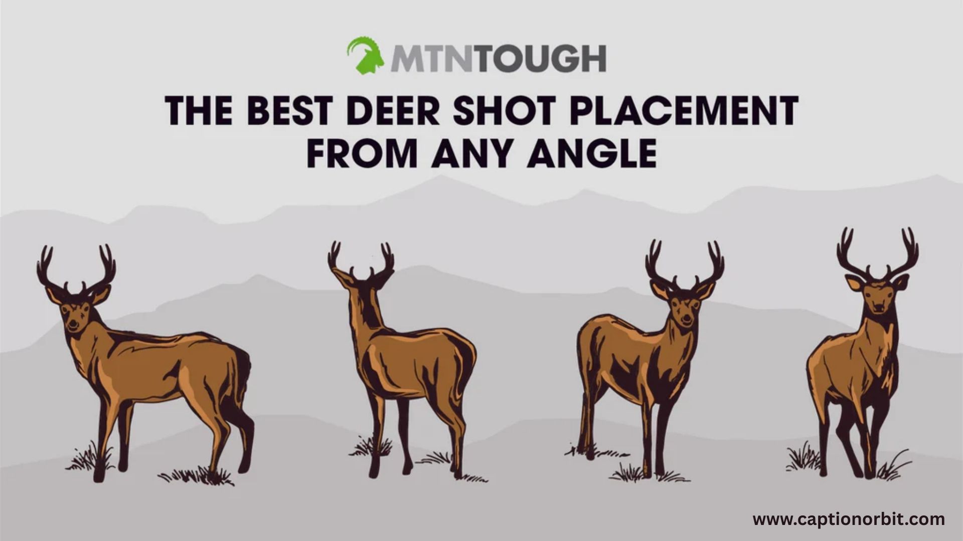 Best Deer Pick Up Lines